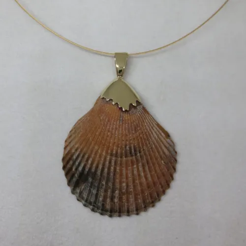 Muschelfundstück mit Gelbgold